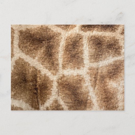 Giraffenmuster Postkarte (Vorderseite)