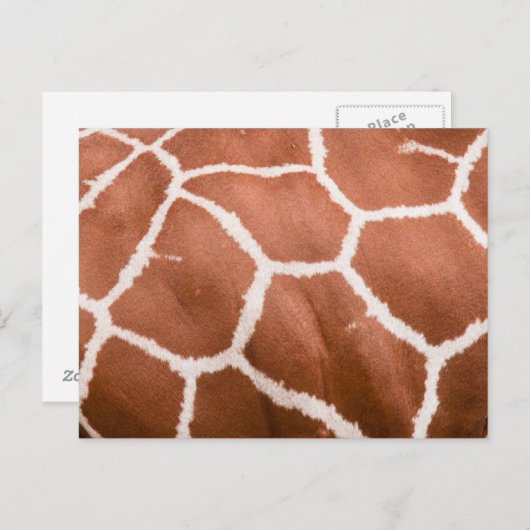 Giraffenmuster Postkarte (Vorne/Hinten)