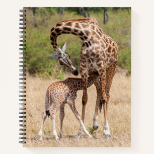 Giraffenmutter und Baby in Kenia Notizblock