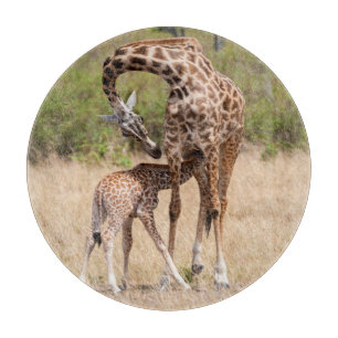 Giraffenmutter und Baby in Kenia Schneidebrett