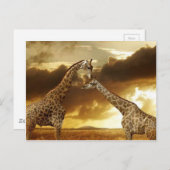 Giraffenparadies Postkarte (Vorne/Hinten)