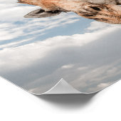 Giraffenplakat, das an seinem Hals festhält Poster (Ecke)