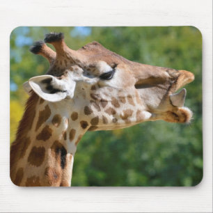 Giraffenportrait Mousepad