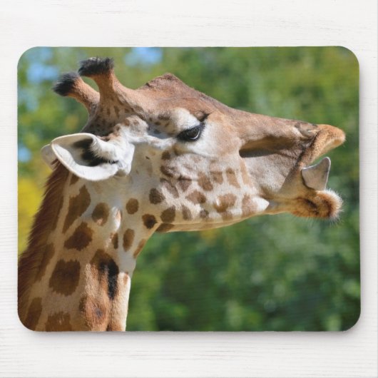 Giraffenportrait Mousepad (Vorne)