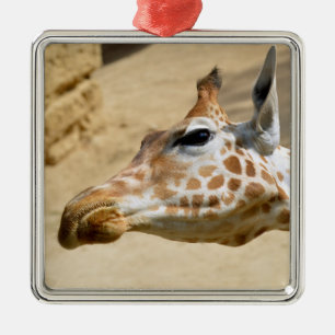 Giraffenportrait Ornament Aus Metall