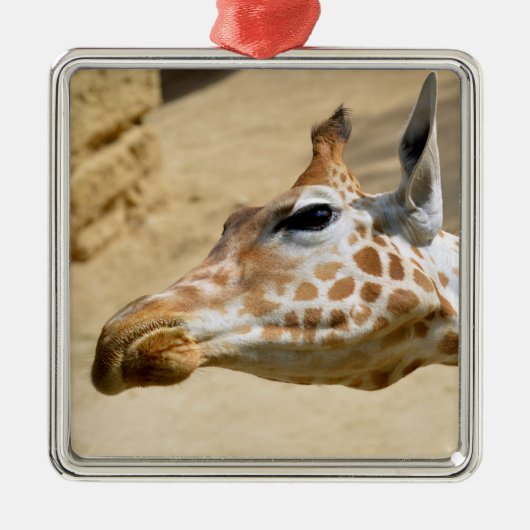 Giraffenportrait Ornament Aus Metall (Vorne)