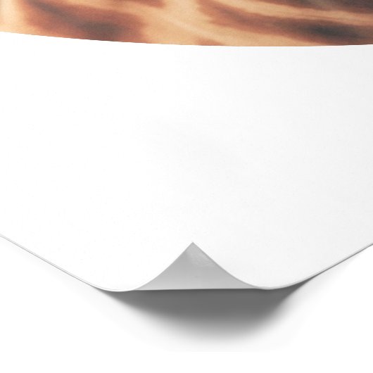 Giraffenposter Poster (Ecke)