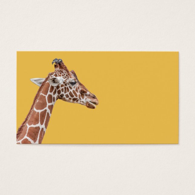 Giraffenprofil (Vorderseite)