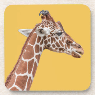 Giraffenprofil Untersetzer