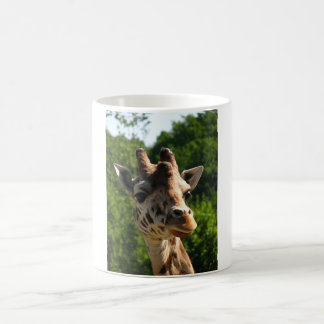 Giraffenschale Kaffeetasse