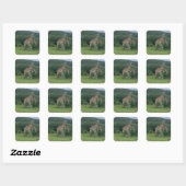 Giraffensticker Quadratischer Aufkleber (Blatt)
