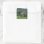 Giraffensticker Quadratischer Aufkleber (Tasche)