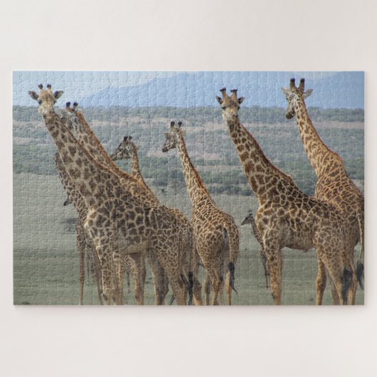 Giraffenturm Puzzle (Horizontal)