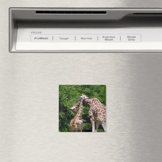 Giraffenumarmung Magnet (In Situ (Geschirrspüler))