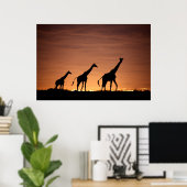 Giraffes at Sunset Poster (Heimbüro)
