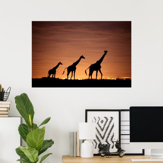 Giraffes at Sunset Poster (Heimbüro)
