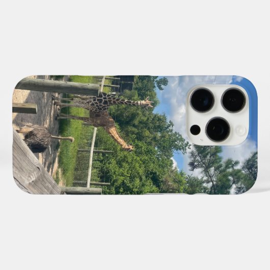 Giraffes Case-Mate iPhone hülle (Rückseite (Horizontal))