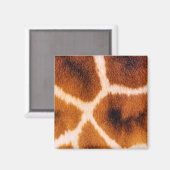 GIRAFFES MAGNET (Vorderseite/Rückseite)