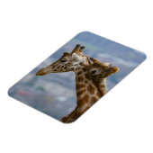 Giraffes Neck und Neck Magnet (Linke Seite)