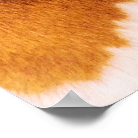 GIRAFFES POSTER (Ecke)