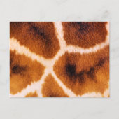 GIRAFFES POSTKARTE (Vorderseite)