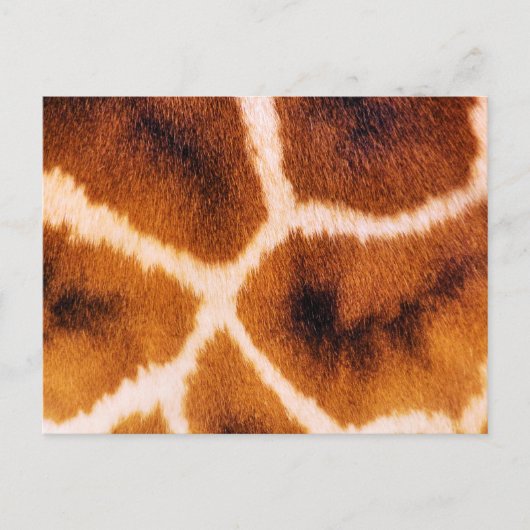 GIRAFFES POSTKARTE (Vorderseite)