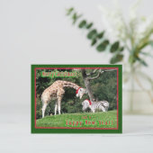 Giraffezebra-Weihnachten Feiertagspostkarte (Stehend Vorderseite)