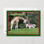 Giraffezebra-Weihnachten Feiertagspostkarte (Vorne/Hinten)