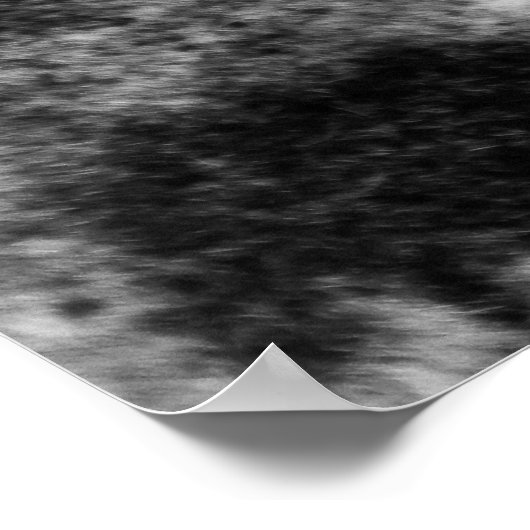 Giraffs Eye Poster (Ecke)