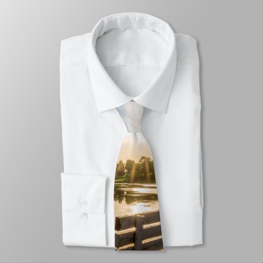 Girardeau Landkreis Park/Garten: Parco delle camel Krawatte (Gebunden)