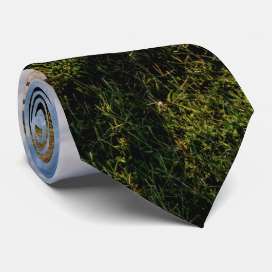 Girardeau Landkreis Park/Garten: Parco delle camel Krawatte (Gerollt)