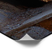 Girl and Fairies Poster Print (Ecke)