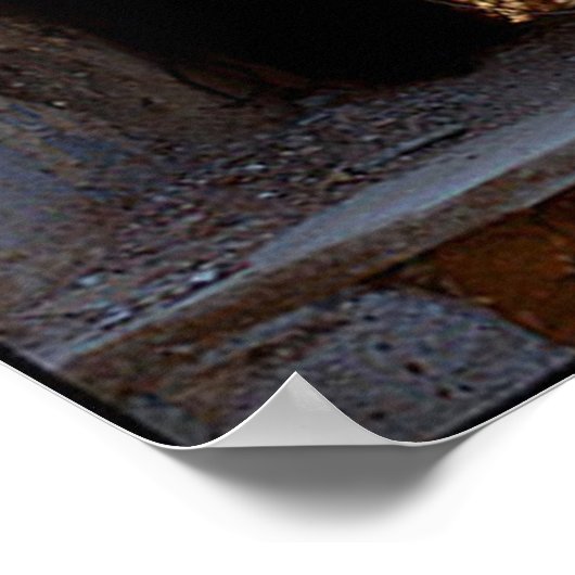 Girl and Fairies Poster Print (Ecke)