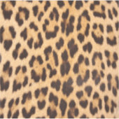 Girl-Chic Wildsafari-Leopardenprint Aufkleber (Vorderseite)