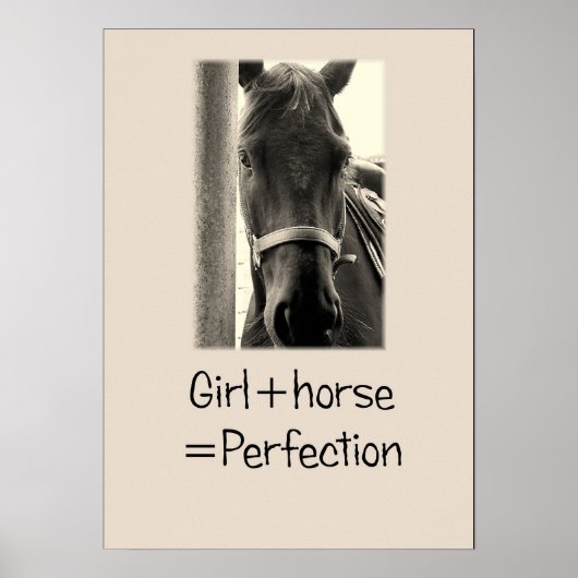 "Girl+Horse=Perfektion" Sepuia Horse Poster (Vorne)