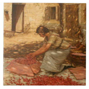 Girl Packing Cherries in der Provence (Frankreich) Fliese