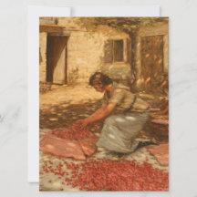 Girl Packing Cherries in der Provence (Frankreich)