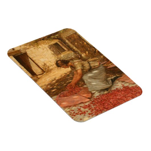 Girl Packing Cherries in der Provence (Frankreich) Magnet (Rechte Seite)