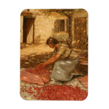Girl Packing Cherries in der Provence (Frankreich)
