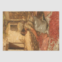 Girl Packing Cherries in der Provence (Frankreich)