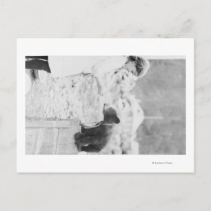 Girl Playing with Bären Cube in Seward 2 Postkarte