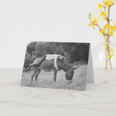Girl Riding Donkey Geburtstagkarte Karte (Gelbe Blume)