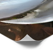 Girl Wear Osterbunny Angel Costume Poster (Ecke)