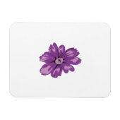 Girlanstil, Leichtbaumpflanze, gebleichte Zeder Magnet (Horizontal)