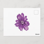 Girlanstil, Leichtbaumpflanze, gebleichte Zeder Postkarte (Rückseite)