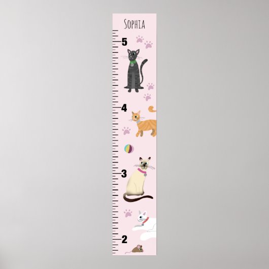 Girls Niedlich Pink Kitty Cat Cartoon Growth Chart Poster (Vorne)