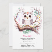 Girl's Owl Baby Shower Forest Adventure