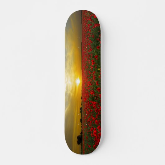 Girls Skateboard Sunset auf Mohnfeld (Vorne)