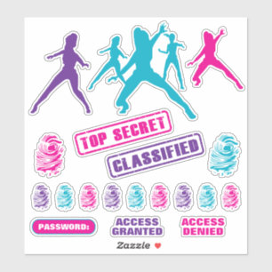 Girls Spy Party Stickers Aufkleber
