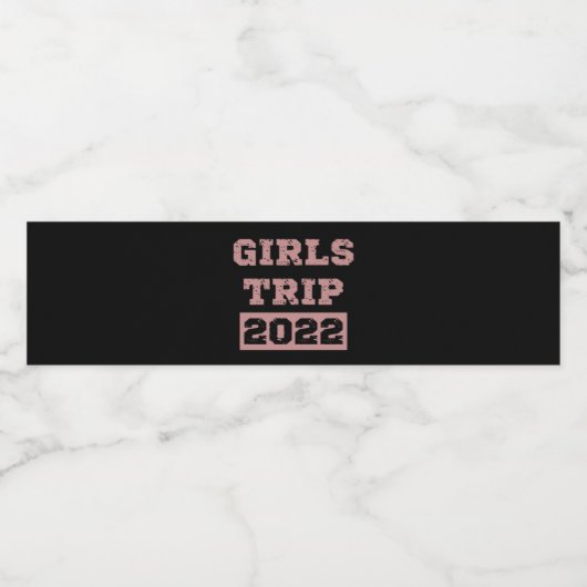 Girls Trip 2022 Girls Weekend Stadtrundgang Wasserflaschenetikett (Einzelnes Label)